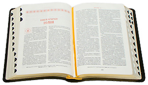 Библия на русском языке в коже
