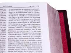 Купить Библию в кожаном переплете, бордовая, синоидальный перевод. Фото 7