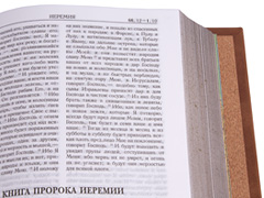 Купить Библию в кожаном переплете, коричневую, синоидальный перевод. Фото 6