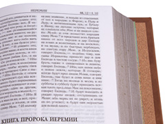 Купить Библию в кожаном переплете, коричневую, синоидальный перевод. Фото 7