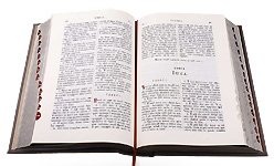 Библия в коже на церковнославянском языке