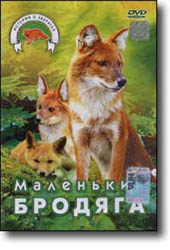 DVD � ��������� �������. ����� ������� ���������. 60 ���.
