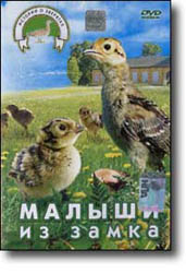 DVD - ������ �� �����. ����� ������� ���������. 60 ���