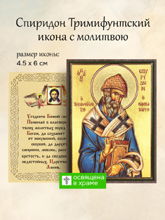 Икона святителя Спиридона Тримифунтского освященная, маленькая