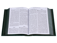 Купить Библию, крупный шрифт. Кожаный переплет, синодальный перевод, блинтовое тиснение, ручная работа. Цвет зелёный. Фото 6