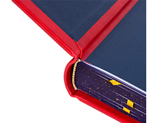 Купить Богослужебный Апостол. Крупный шрифт. Кожаный переплет, серебряное и золотое тиснение, ручная работа. Цвет красный. Фото 2