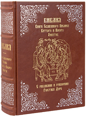 Библия. С рисунками и гравюрами Гюстава Доре. Эксклюзивное издание в кожаном переплете ручной работы. Серебряное и золотое тиснение. Цвет коричневый.