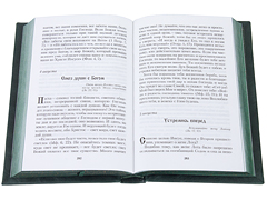 Купить День за днем. Каждый день – подарок Божий. Дневник православного священника. Кожаный переплет, ручная работа, тиснение блинтовое, золотом и серебром. Цвет тёмно-зелёный. Фото 2